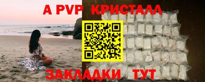 ешки Новодвинск