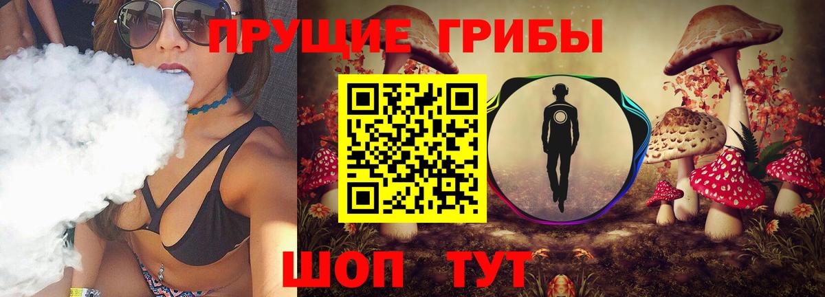 Хабаровск  Псилоцибиновые грибы GOLDEN TEACHER  Вход с VPN 